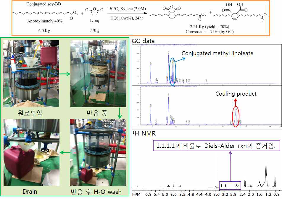 GC chromatogram and 1H-NMR spectra after Diels-Alder coupling reaction of conjugated fatty acid methyl ester and MA (Bench scale).