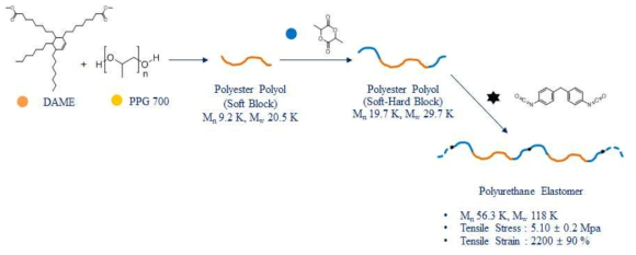 Synthetic scheme of polyester-urethane elastomer.