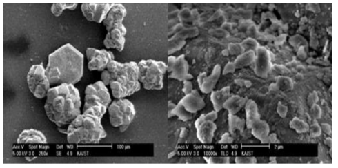 SEM images of aluminum oxide (Al2O3).