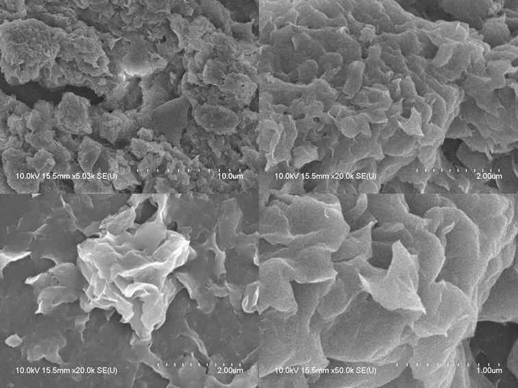 SEM images of clay catalyst.