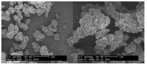 SEM images of calcium oxide (CaO).