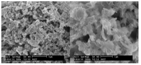 SEM images of magnesium oxide (MgO).