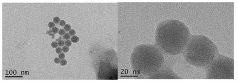 TEM images of silicon oxide (SiO2).