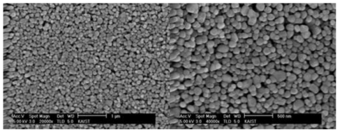 SEM images of titanium oxide (TiO2).