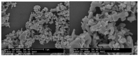 SEM images of zinc oxide (ZnO).