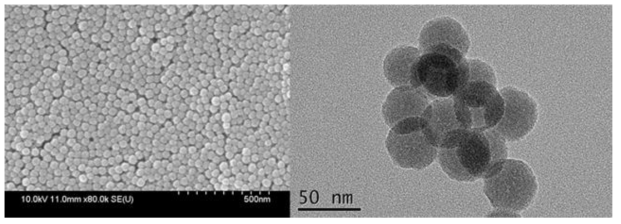 SEM and TEM image of silica nanoparticles.