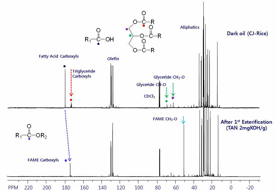 13C-NMR spectra of rice dark oil
