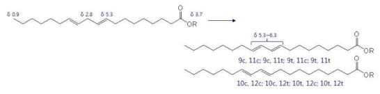 Conjugation reaction of linoleic acid (R=H).