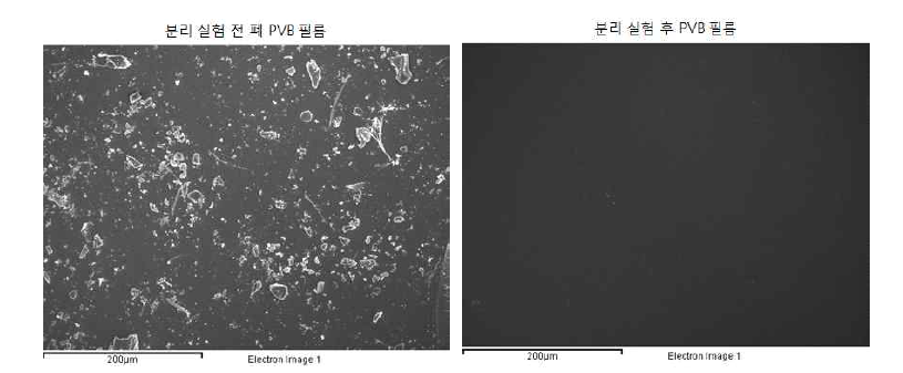 폐PVB 필름 및 분리 회수된 PVB 필름의 SEM 이미지