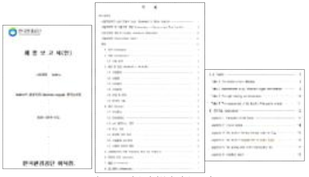 물벼룩 만성독성 최종보고서