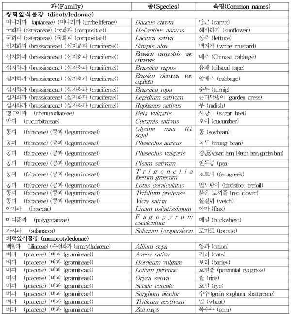 식물 급성 시험 종