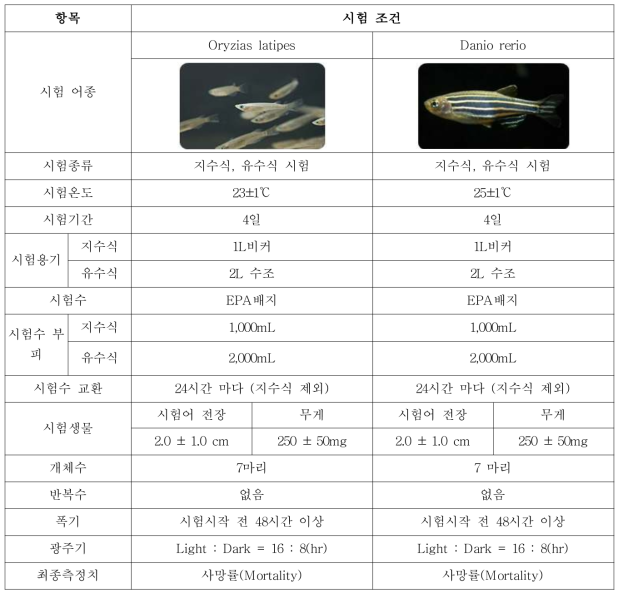 독성시험 조건