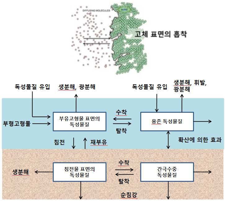 수체 내 각종 반응