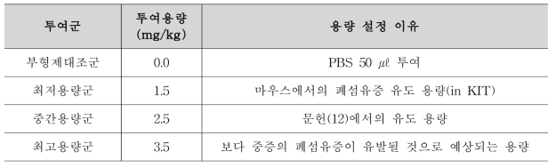 랫드에서의 폐섬유증 모델 확립을 위한 투여용량정보