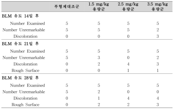 부검시 폐에서의 육안소견 관찰 결과(1차 시험)