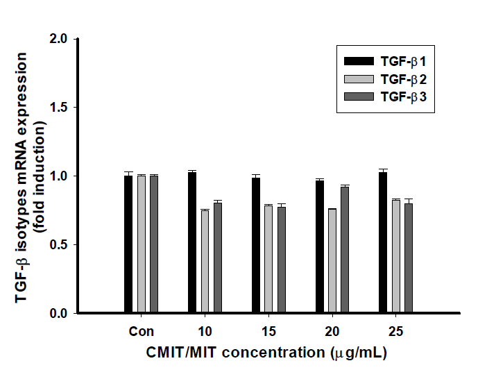 BEAS-2B 세포에 Kathon CG 노출 시 TGF-β mRNA 발현 확인