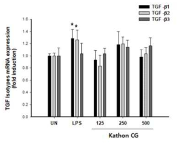 Kathon CG 처리에 따른 TGF-β mRNA 발현 확인