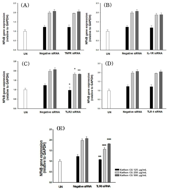 siRNA transfection에 따른 Kathon CG에 의한 NFkB 활성 초기 신호전달 기전 검증