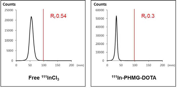 Radio-TLC 활용 111In-PHMG-DOTA의 합성 반응 분석