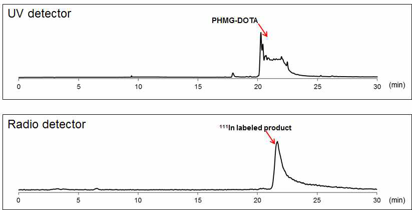 Radio-HPLC 활용 111In-PHMG-DOTA의 합성 반응 분석