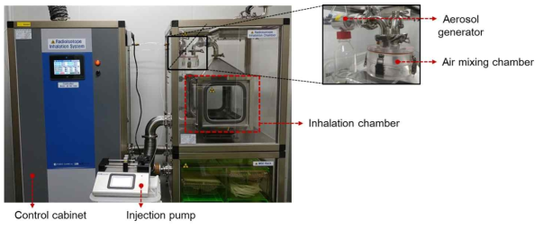 방사성동위원소 전신 노출 흡입챔버 구축