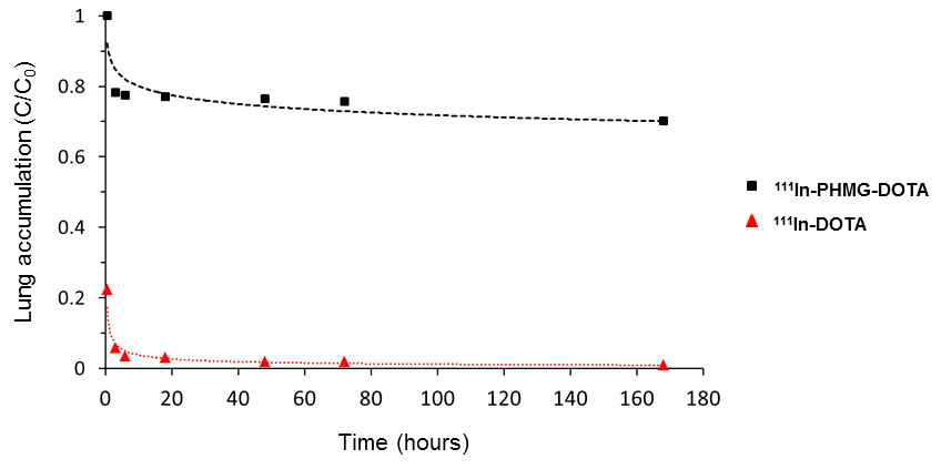 111In-PHMG-DOTA 에어로졸과 111In-DOTA 에어로졸의 시간 에 따른 폐 분포 비교