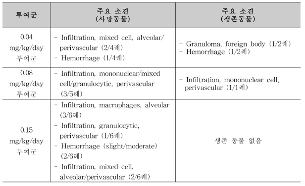 2차 시험의 투여군별 조직병리학적 검사 결과(폐)