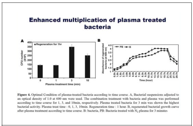 플라즈마 처리에 의해 유용한 내생균의 활성화 특성