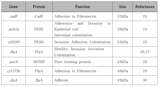 Campylobacter jejuni 외막 항원의 특성.