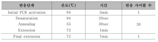 PCR 반응 조건