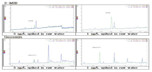 2-MIB, Geosmin 표준물질 첨가실험 결과