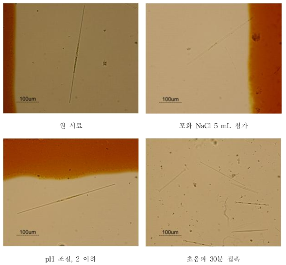염 첨가 및 초음파 접촉에 따른 조류 세포 변화 관측