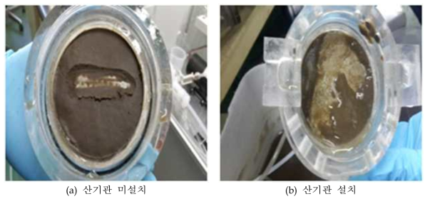 산기관을 이용한 물리적 세정 효과