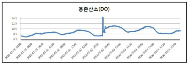 용존산소(DO) 측정결과