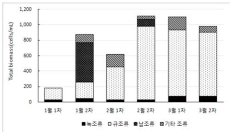 청주 원수의 조류 현존량 결과(2015년 1월~2015년 3월)