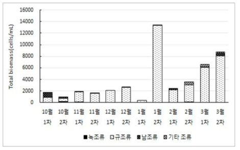 광주 원수의 조류 현존량 결과(2015년 10월~2016년 3월)