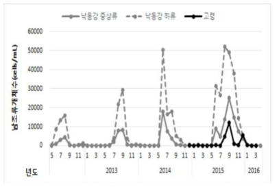 낙동강수계, 고령정수장 남조류 개체수 현황