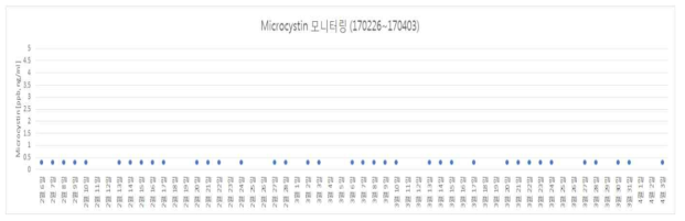 현장 Microcystin 모니터링 결과