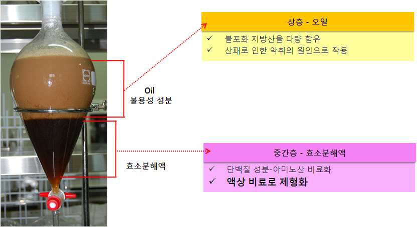 효소 분해액의 상층, 하층 분리