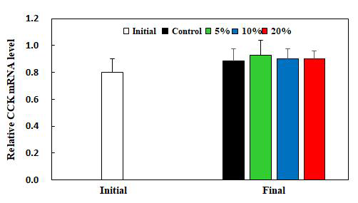 고등어발효액 가공부산물 첨가 농도에 따른 넙치, Paralichthys olivaceus CCK mRNA 변화