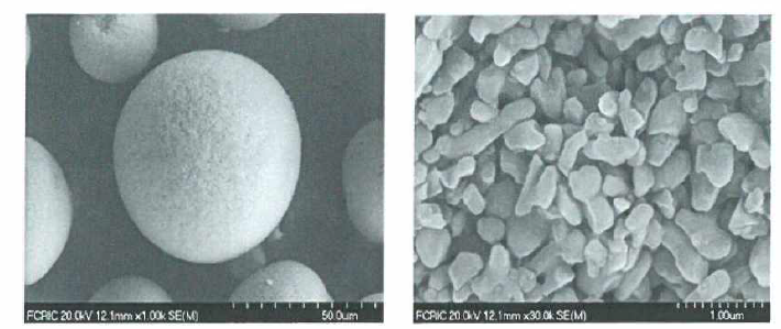 AI2O3 Granule FE-SEM 사진