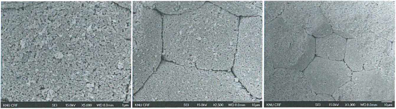 CIP 시편 (성형압 l000bar，1차 열처리 : 700℃ ，2차 HIP 처리 : 1300℃) FE-SEM