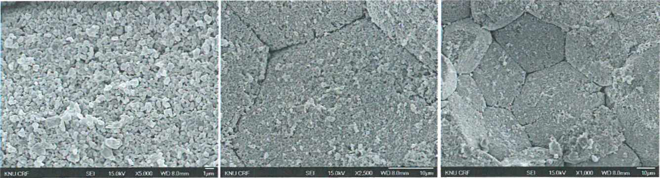 CIP 시편 (성형압 l000bar， 1차 열처리 : 700℃ ，2차 HIP 처리 : 1350℃) FE-SEM