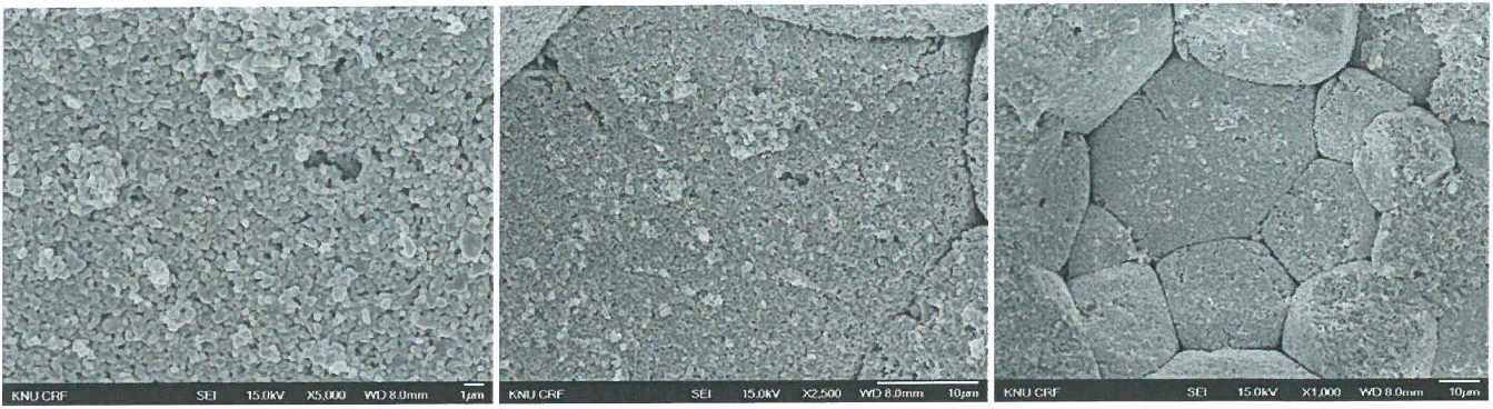 CIP 시편 (성형압 l000bar，1차 열처리 : 700℃ ，2차 HIP 처리 : 1400℃)FE-SEM