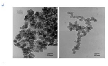 TEM image of ACP in various shape of aggregation.