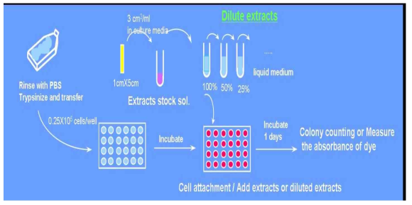 Cytotoxicity test by eluents dilution method.