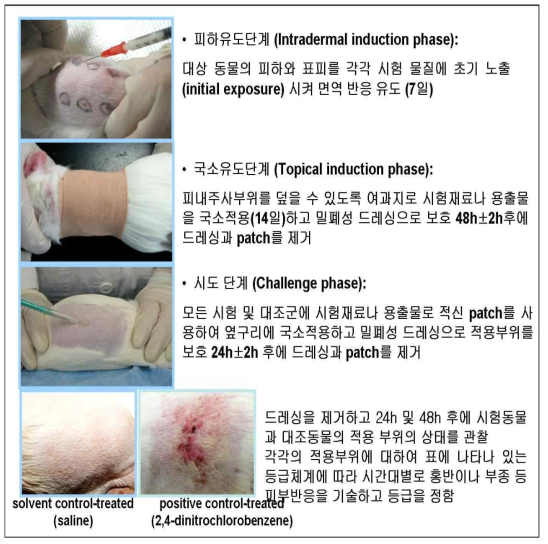 Stepwise skin sensitivity test method.