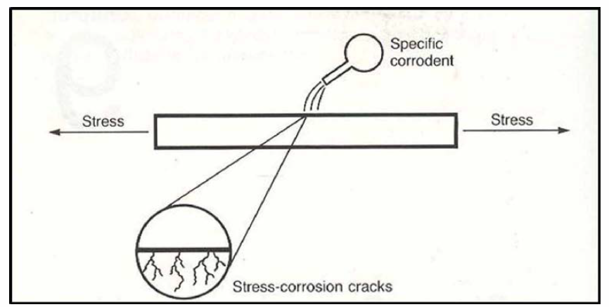 응력부식균열의 발생기구