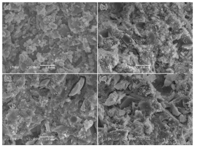 지오폴리머((a) Si/Al=2.5, Na/Al=0.8; (b)-(d) Si/Al=3.0, Na/Al=0.8) 시료의 파단면 SEM 사진.