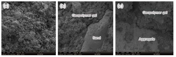 FE-SEM으로 관찰한 보령화력발전소 비산재로 제조한 Si:Al 3.0인 지오폴리 머 파단면 사진